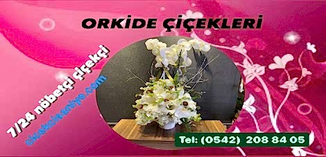 Öğretmenler günü