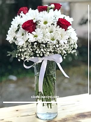 Vazoda Papatya Güller