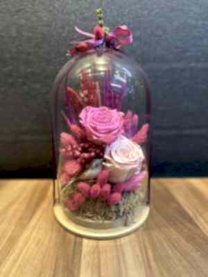 Canlı Solmayan Gül