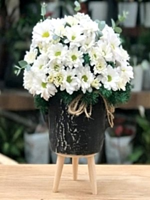 Ayaklı Vazoda Papatya