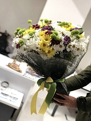 Papatya Renk Cümbüşü