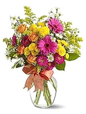 Vazoda Sevgi Çiçekleri