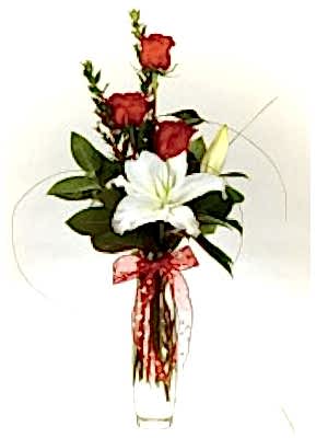 Vazoda Lilyum Gül