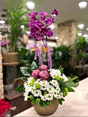 Orkide Aranjman Papatya