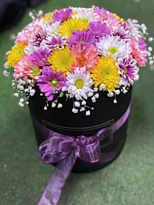 Kutuda Renklerin Aşk Güzeli