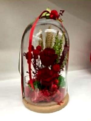 Solmayan Aşk Gülü