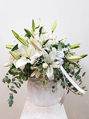 Lilyum Beyazın Asaleti