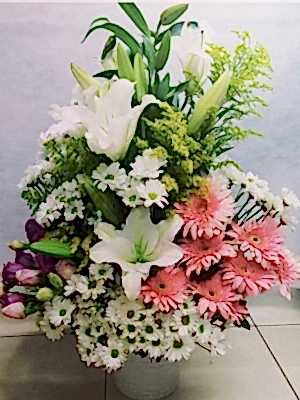 Büyük Boy Masa Çiçeği