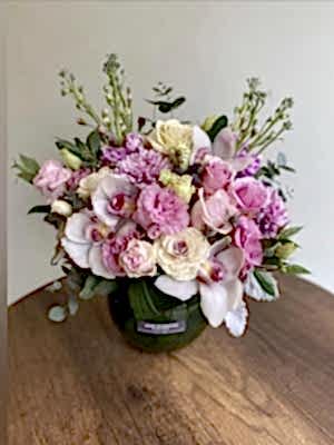 Kutuda Renklerin Aşkı