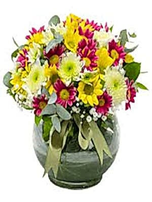 Fanusta Renklerin Aşkı