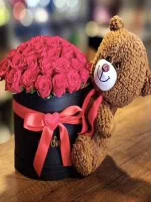 Kutuda Ayıcık Gül 25 Adt Aşkı