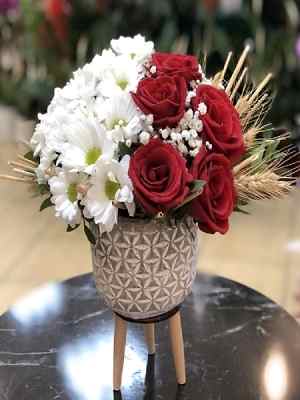 Ayaklı Saksıda Gül Papatya