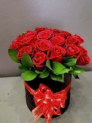 Kutuda Seni Seviyorum