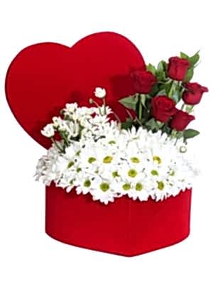 Kutuda Papatya ve Güller