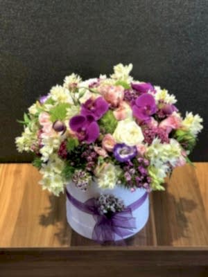 Kutuda Bahar Güzeli