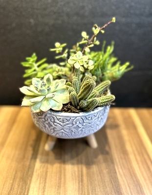 Ayaklı Dekoratif Saksıda Teraryum