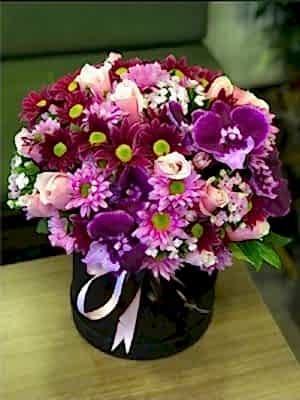 Kutuda Renklerin Aşkı