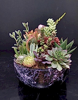 Dekoratif Saksıda Teraryum 4