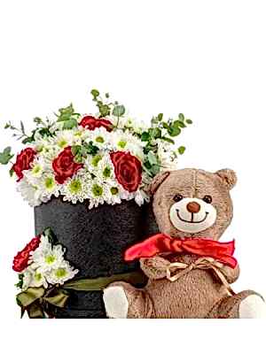 Kutuda Gül Papatya ve Ayıcık