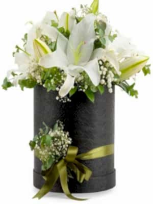 Kutuda Beyaz Lilyum Aranjman