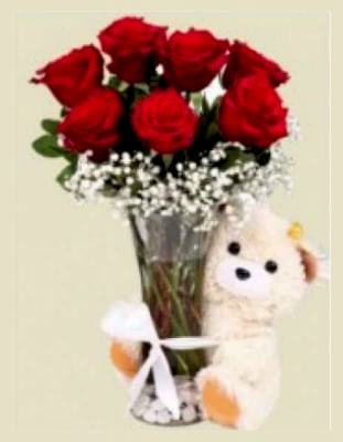 Aşkların En Güzeline. Ayıcık ve Gül